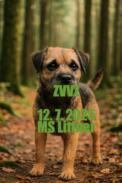 ZVVZ MS Littner 12.7.2025 -PROPOZICE