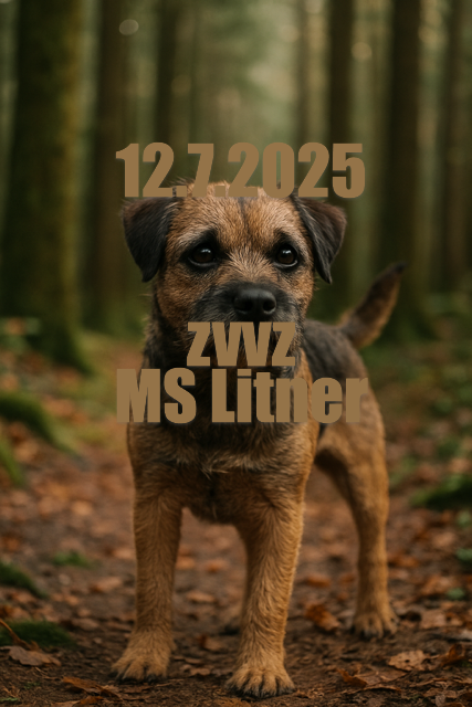 ZVVZ MS Litner 12.7.2025 Máme ještě volná místa!!
