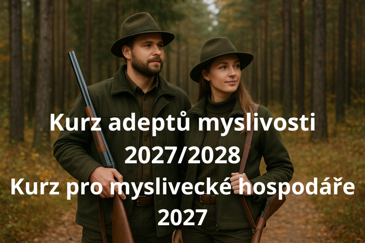 Kurzy